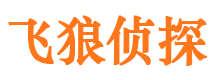 泸溪侦探公司